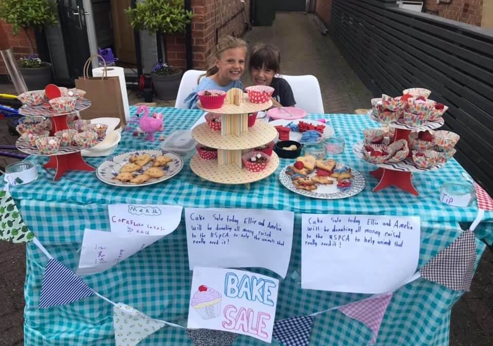 Third Party Fundraising