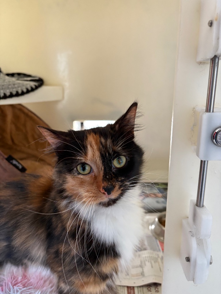 peggy-15708