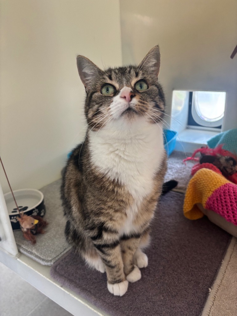 pippa-15673