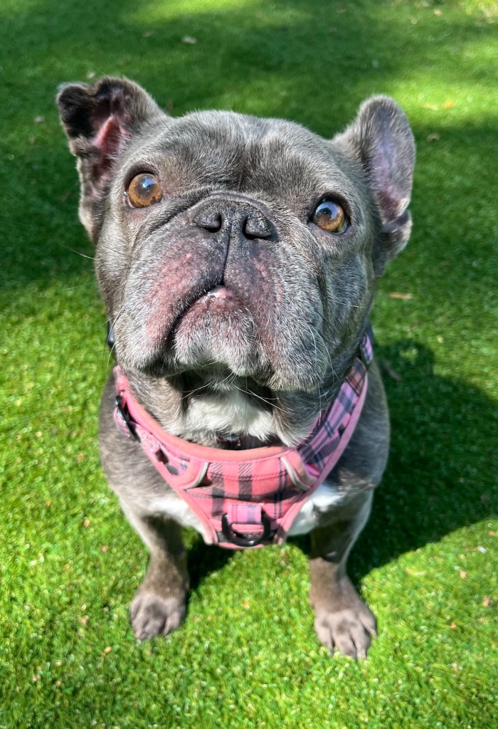 lucy-11814