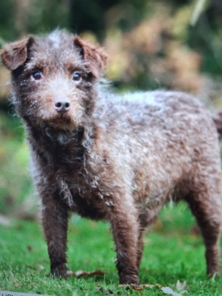 millie-15943