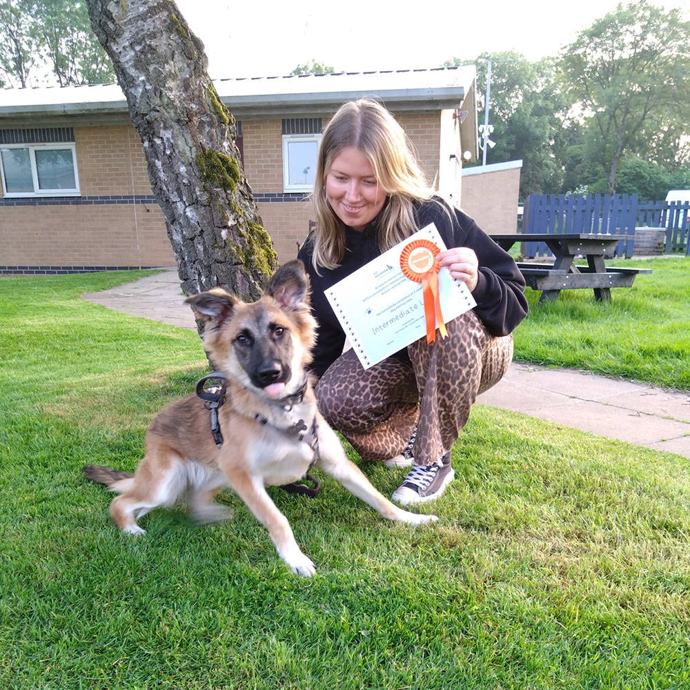 Cassie-1-Oct25-sq RSPCA Woodside Leicester Dog training