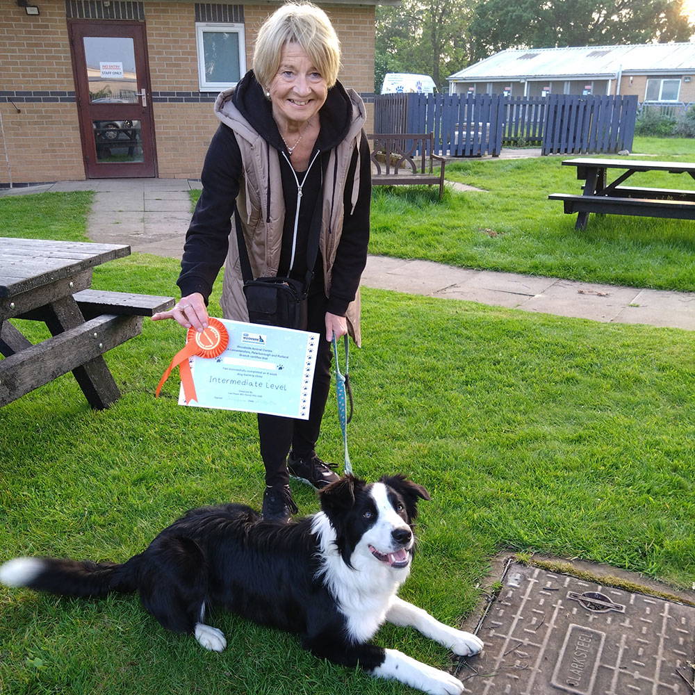 Charlie Dog Training Dog Training