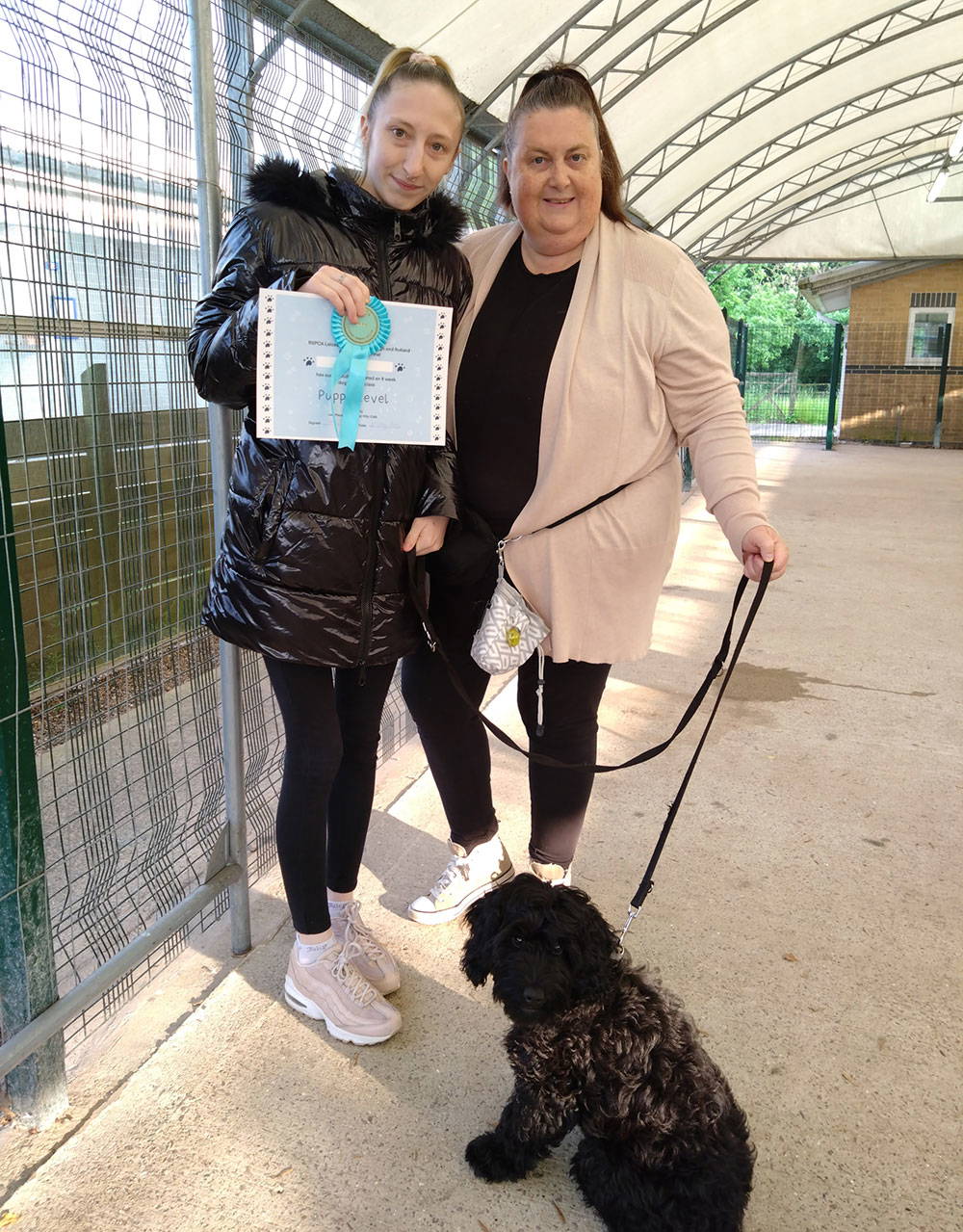 Dog Training Ebony Dog Training