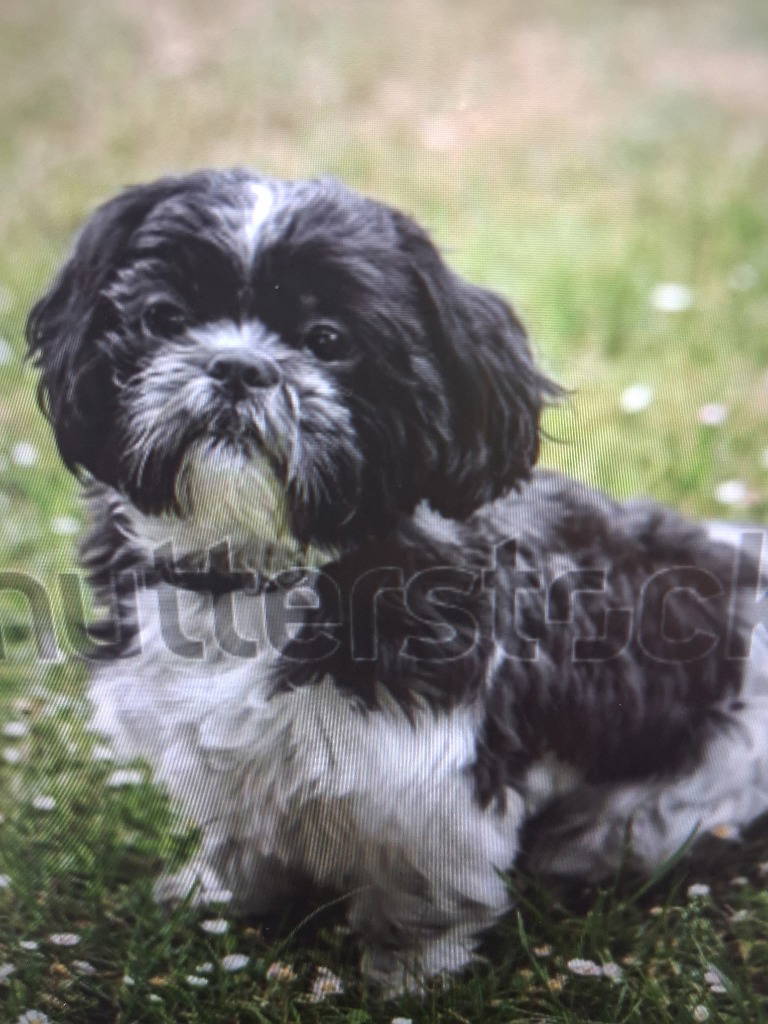 jack-16071