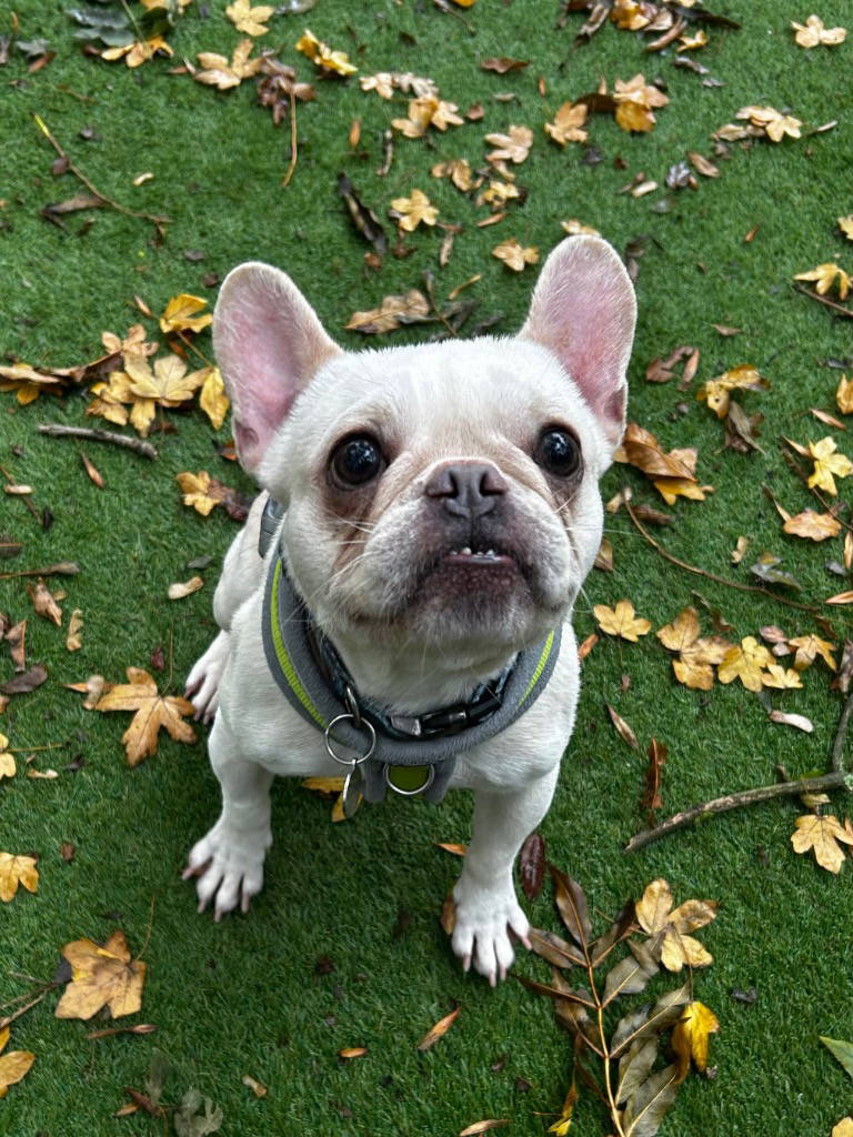 wally-16120