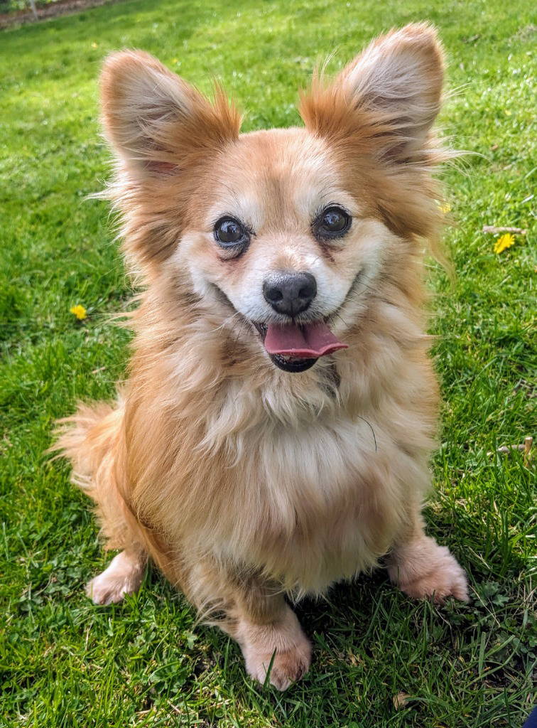 vinnie-charlie-15771