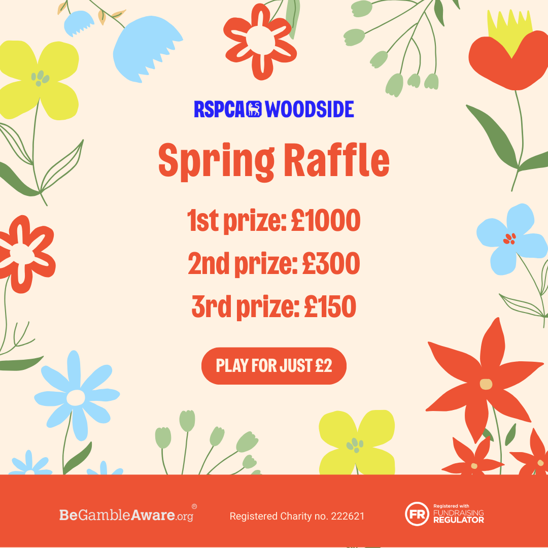 Spring Raffle | RSPCA Woodside