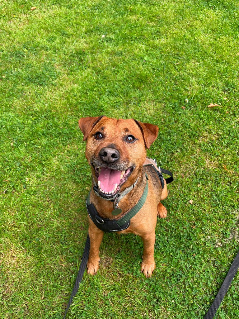 reggie-15805
