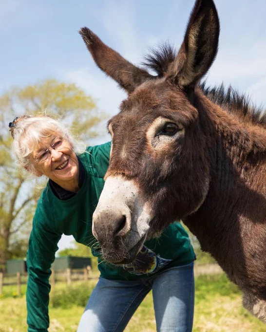 Happy Donkey Day! 🫏

Today we’re celebrating the gentle, intelligent, and often underestimated donkey! 

Other branches of the RSPCA, sometimes care for rescued donkeys and other farm animals who are looking for loving homes. With the right space, time, and care, adopting a farm animal can be an incredibly rewarding experience.

If you’ve ever thought about giving a farm animal their forever home, check out this brilliant tool:  rspca.org.uk/findapet

Just use the drop-down menu to browse animals by type—including farm animals, cats, dogs, reptiles and more—and find your perfect match at your local RSPCA centre.

Let’s give a big cheer for the donkeys and all the other farm animals who’ve found safety, love, and second chances 🐾

#DonkeyDay #RescueAnimals #AdoptDontShop #FarmAnimalRescue #RSPCA #Adoption #Donkeys #RescueDonkeys #AnimalCare