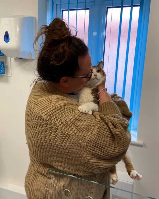An Incredible Reunion! 🐾

After nearly 3 years missing, Sparkle — a much-loved member of her family — has finally found her way back home! 💛

Last week, a kind-hearted member of the community discovered Sparkle in Countesthorpe, Leicester and brought her into our care. Thanks to the power of microchipping and her family's commitment to keeping their contact details up to date, we were able to make the magical call! 

This incredible story is a beautiful reminder of why microchipping matters✨ Welcome home, Sparkle!

#RSPCA #HappyCat #StrayCat #Adoptdontshop #AnimalRescue #Microchip #ReunitedStray  #MissingCatFound #HappyTails #MicrochippingWorks #AnimalRescue  #CatReunion