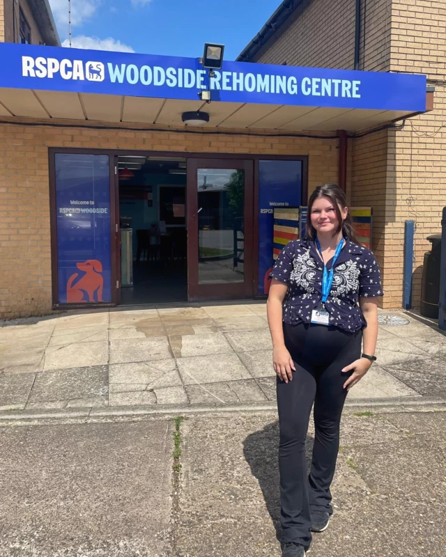 We’re Hiring Social Media & Communications Officer! 🌟

Ever wondered who's behind the posts, pictures, and stories at Woodside Animal Centre and Barney & Bella? 👋 As an animal lover, cat mum, photography graduate, and social media enthusiast, being the Social Media & Communications Officer has truly been a dream role for me over the past year!

But now, a new adventure awaits - as I’ll be heading off on maternity leave at the end of July 🍼💙

That means we’re on the lookout for a creative, passionate, and driven team player to step in and cover my role for a minimum of 9 months. If you’ve got a flair for storytelling, a love for animals, and a knack for digital content, we’d love to hear from you!

Think you're the perfect fit? 👉 Find out more and Apply through the link in bio! 

#JobOpportunity #SocialMediaJob #JoinOurTeam #AnimalLover #CatLover #DogLover #RSPCA #CharityWork #LeicesterJobs #Hiring #socialmedia #photographer #animalcharity #PetCare #RehomingCentre #MaternityCover