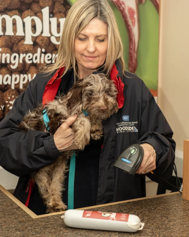 Father’s Day is Coming Up! 🎁🐾

Got a dog-loving father figure who’s impossible to buy for?
Why not treat a rescue dog in his name this Father’s Day?

Pop into our shop or give us a call to purchase a special dog treat for one of our resident pups - a thoughtful gift that gives twice: a smile for Dad and a wagging tail for a dog in need. 💙

#RSPCA #ForeverHome #GotchaDay #Adoption #RescueDog #AnimalCharity #Donation #Rehoming #HappyTails #AdoptDontShop #LeicesterDogs #FathersDay #GiftGiving